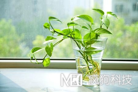 商城網(wǎng)站的開(kāi)發(fā)有哪些要求