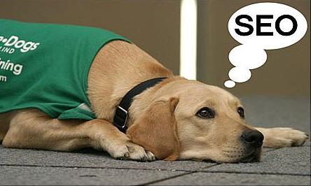 哪些類(lèi)型的改動(dòng)會(huì )影響到網(wǎng)站的seo？