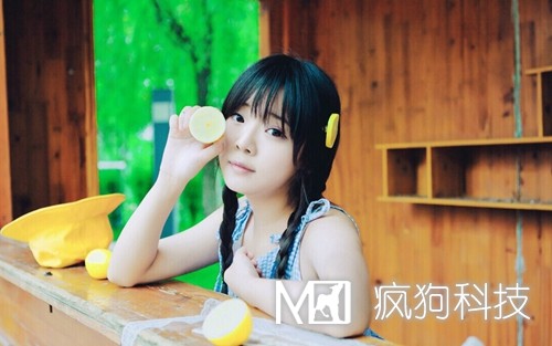 SEO與SEM如何作抉擇？