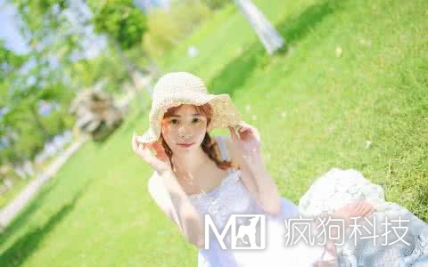 網(wǎng)站SEO優(yōu)化中應該查看哪些數據？