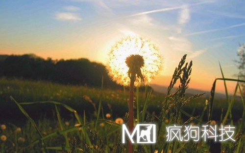 網(wǎng)站結構優(yōu)化之物理結構與邏輯結構有哪些區別