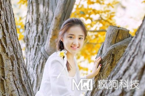 網(wǎng)站優(yōu)化中的死鏈是如何產(chǎn)生的？